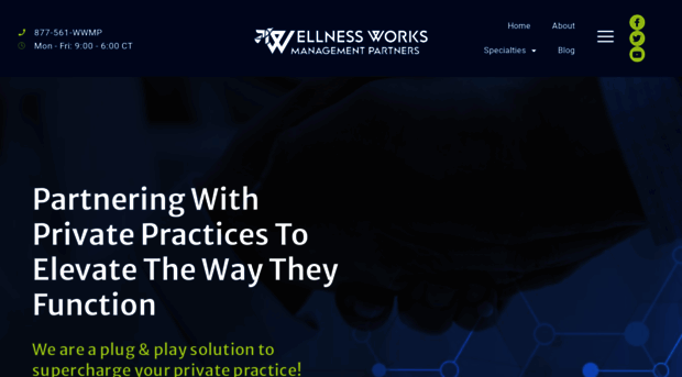 wellnessworksmp.com
