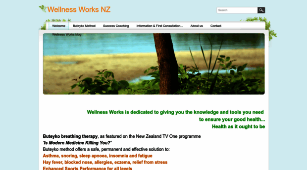 wellnessworksnz.com