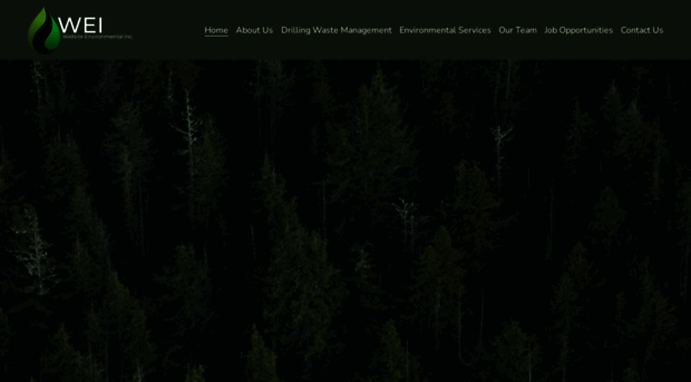 wellsiteenvironmental.com