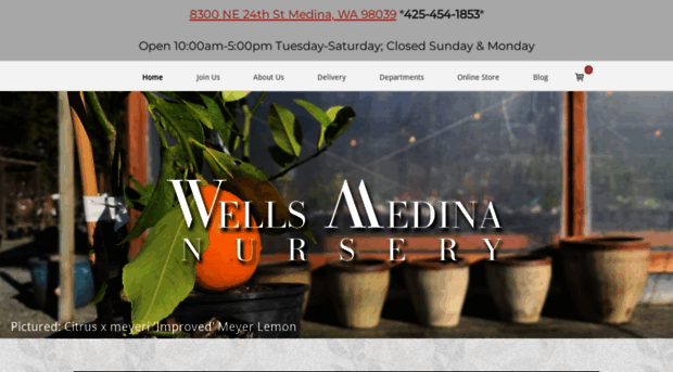 wellsmedinanursery.com