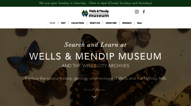 wellsmuseum.org.uk