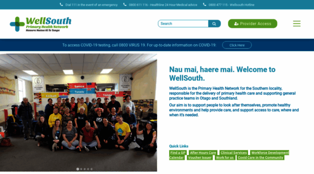 wellsouth.org.nz