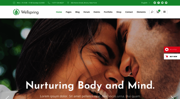 wellspring.mikado-themes.com