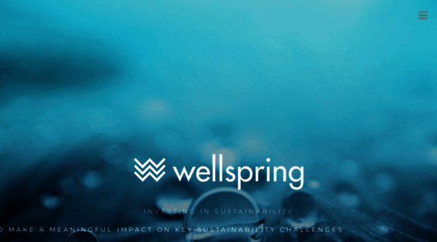 wellspringinvest.com