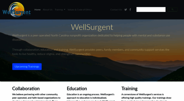 wellsurgent.com