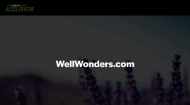 wellwonders.com