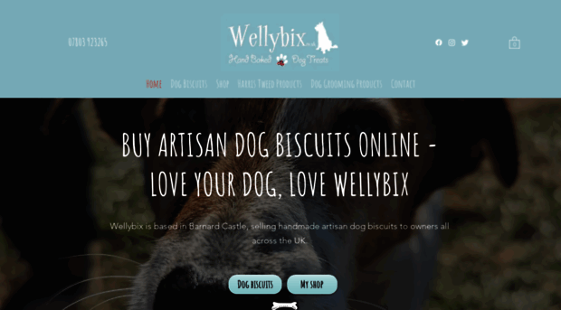 wellybix.co.uk