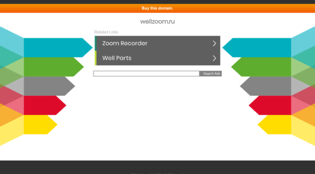 wellzoom.ru
