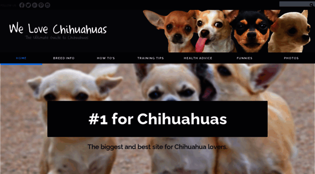 welovechihuahuas.com