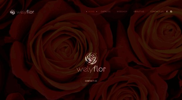 welyflor.com