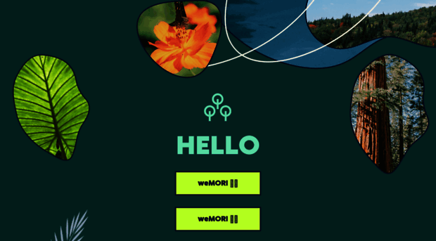wemori.org