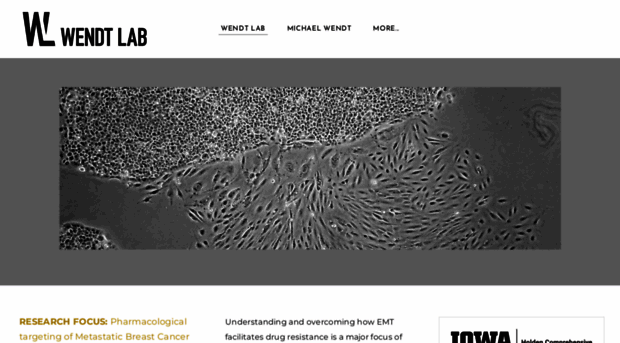 wendtlab.com