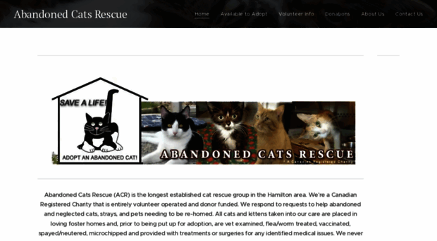 werescuecats.ca