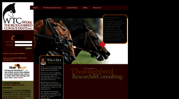 werkhorse.com