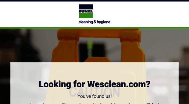 wesclean.com