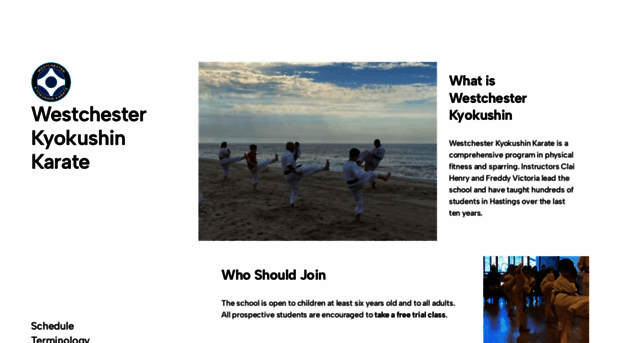 westchesterkyokushin.com