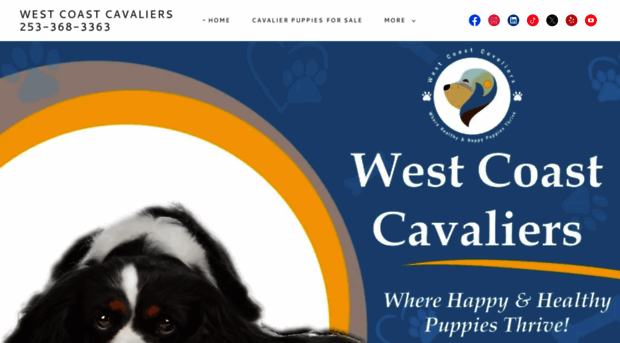 westcoastcavaliers.com