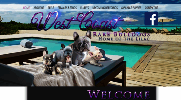 westcoastrarebulldogs.com