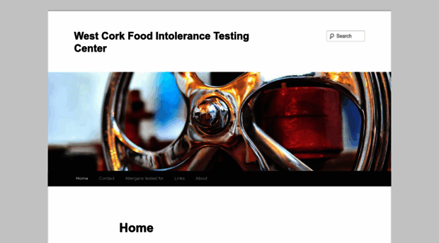 westcorkfoodintolerancetestingcenter.com