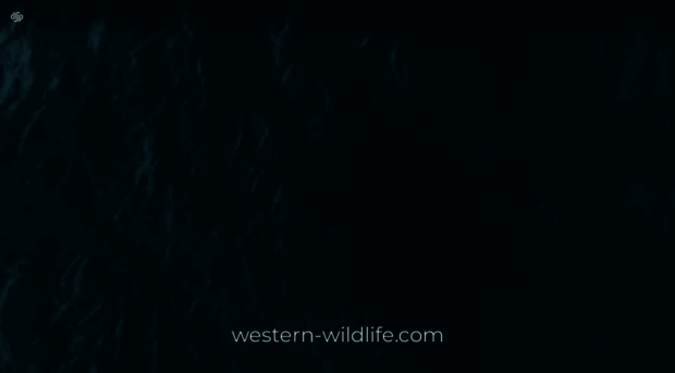 western-wildlife.com