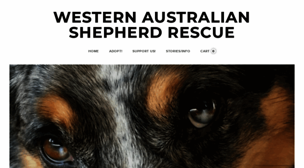 westernaustralianshepherdrescue.com