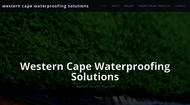 westerncapewaterproofingsolutions.co.za