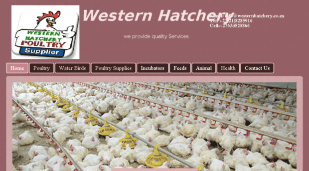 westernhatchery.co.za