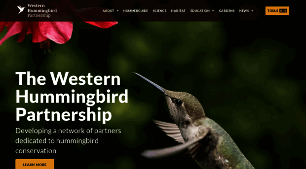 westernhummingbird.org