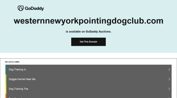 westernnewyorkpointingdogclub.com
