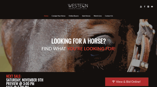 westernpremierhorsesales.com