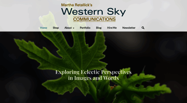 westernskycommunications.com