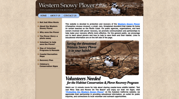 westernsnowyplover.org