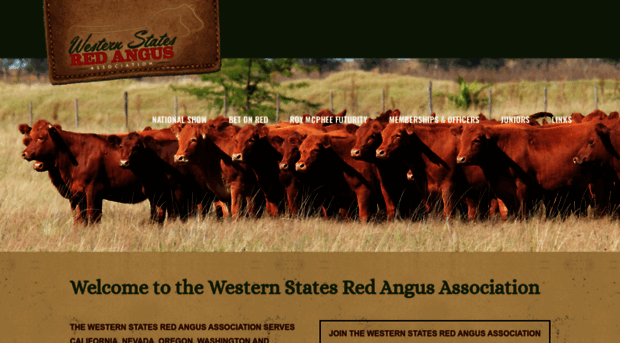 westernstatesredangus.com