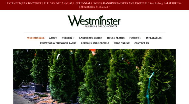 westminsternursery.com