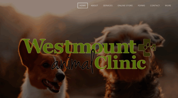 westmountanimalclinic.com