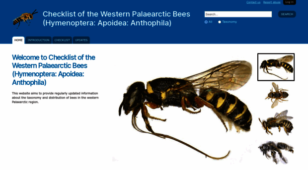 westpalbees.myspecies.info