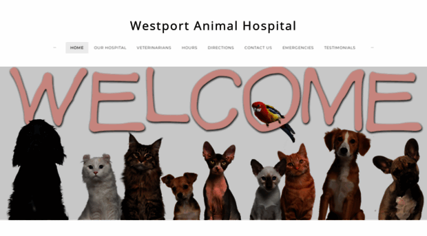 westportanimalhospital.com