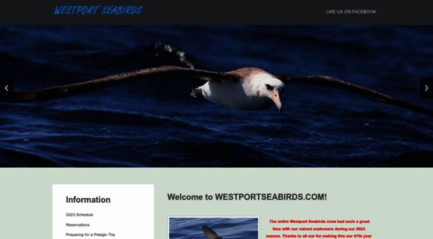 westportseabirds.com