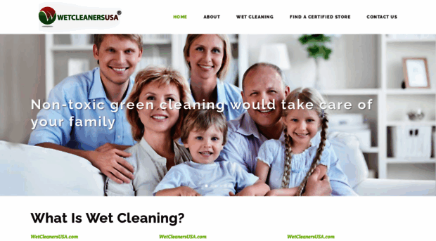 wetcleanersusa.com