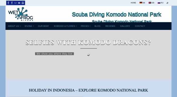 wetfrogdivers.com