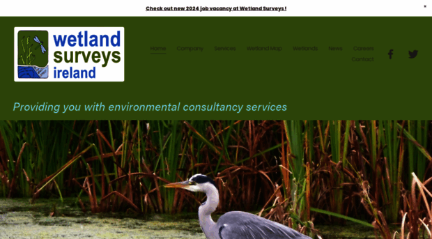 wetlandsurveysireland.com