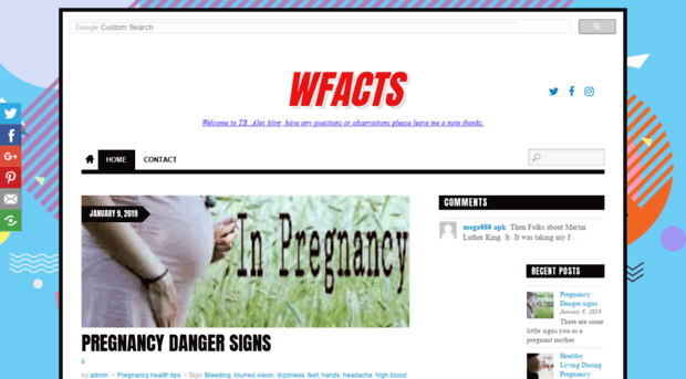 wfacts.site