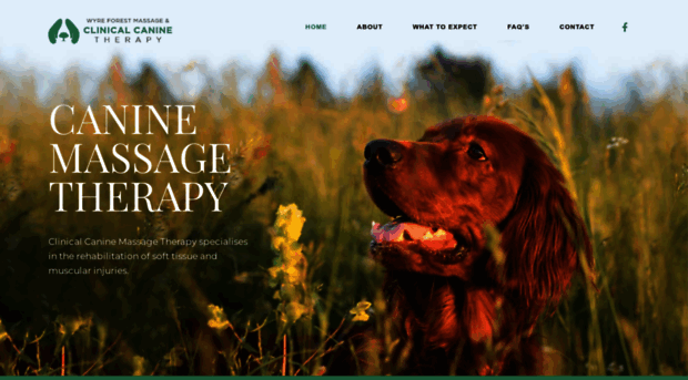 wfcaninemassage.co.uk