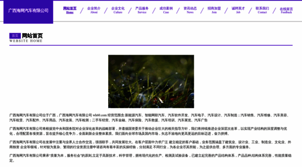 wh60.com