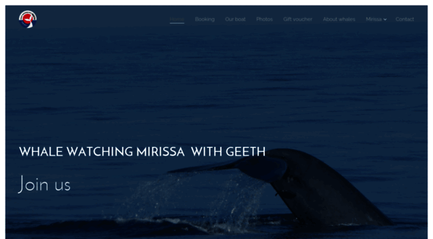 whale-watching-mirissa.com