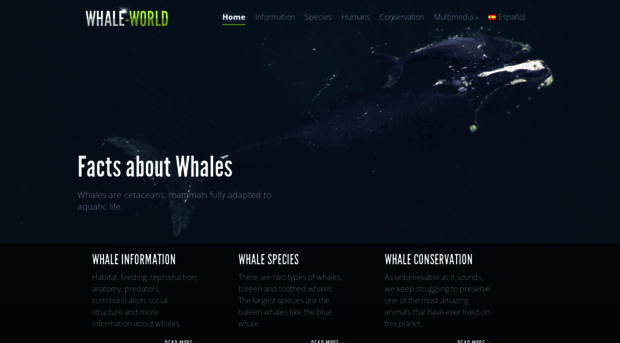 whale-world.com