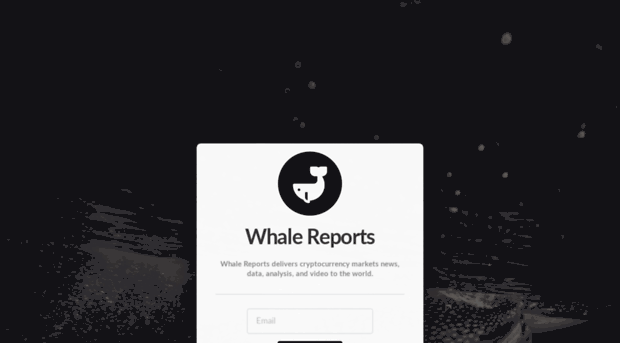 whale.report