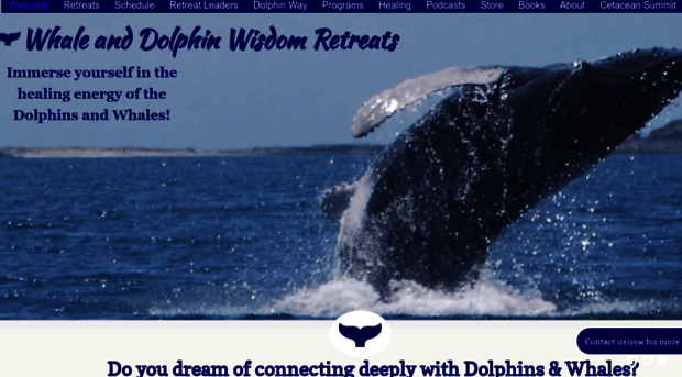 whaleanddolphinwisdomretreats.com