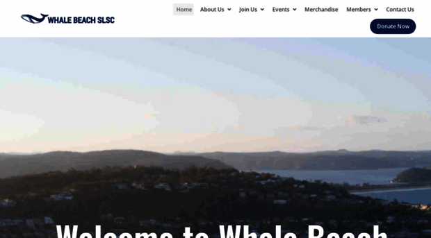 whalebeachslsc.com