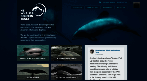 whaledolphintrust.org.nz